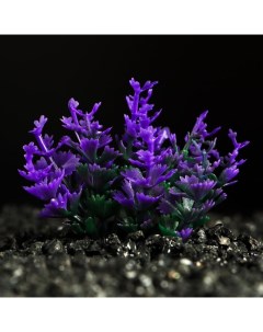 Искусственное растение для аквариума и террариума фиолетовое 5 см 10 шт Пижон аква