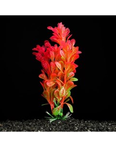 Искусственное растение для аквариума и террариума зелёно розовое 3х13 см 5 шт Пижон аква