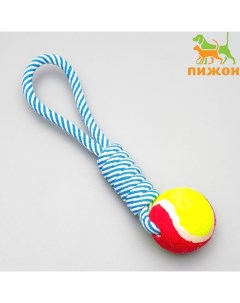 Игрушка для собак канатная плетёная с мячом микс цветов до 130г до 33 см Пижон