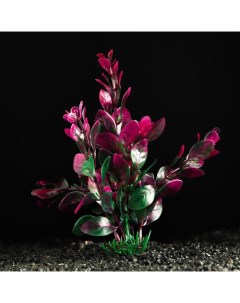 Искусственное растение для аквариума и террариума красно зелёный 3х13 см 5 шт Пижон аква