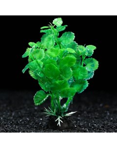 Искусственное растение для аквариума и террариума зелёное 3х13 см 5 шт Пижон аква