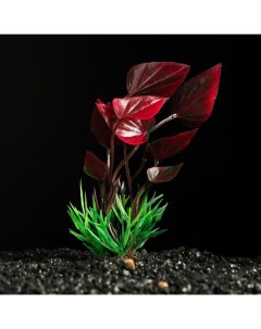 Искусственное растение для аквариума и террариума красно зелёное 10 см 5 шт Пижон аква