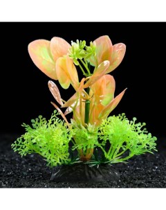 Искусственное растение для аквариума и террариума зелёно розовое 10 см 3 шт Пижон аква