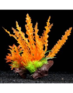 Искусственное растение для аквариума на оранжево зеленое 18 см 2 шт Пижон аква