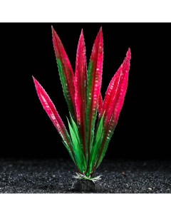 Искусственное растение для аквариума и террариума фиолетовое 4х20 см 5 шт Пижон аква