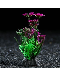 Искусственное растение для аквариума и террариума фиолетово зелёное 3х9 см 5 шт Пижон аква