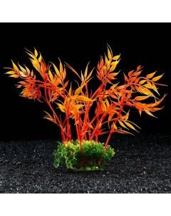 Искусственное растение для аквариума и террариума оранжевое 22 см 2 шт Пижон аква