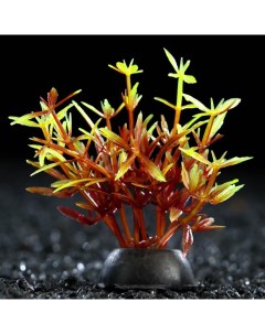 Искусственное растение для аквариума и террариума красно зелёное 2 5х5 см 10 шт Пижон аква