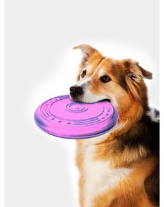Жевательная игрушка для собак Апорт фиолетовый 18 см Голдик