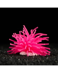 Искусственное растение для аквариума и террариума анемон розовый 8х5 см Пижон аква