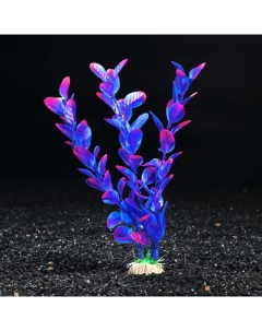 Искусственное растение для аквариума и террариума бакопа фиолетовая 20 см 10 шт Пижон аква