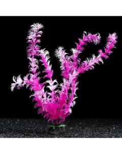 Искусственное растение для аквариума и террариума фиолетовое 4х30 см 5 шт Пижон аква