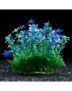 Искусственное растение для аквариума и террариума сине зеленое 15 см 3 шт Пижон аква