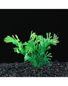 Искусственное растение для аквариума и террариума до 9 см 5 шт Пижон аква
