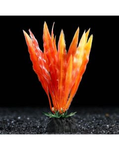 Искусственное растение для аквариума и террариума оранжевое 3х13 см 5 шт Пижон аква