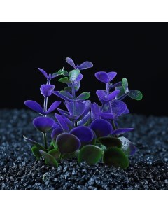 Искусственное растение для аквариума кустовое фиолетовое 10 см 2 шт Пижон аква