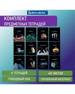 Тетради предметные КОМПЛЕКТ 12 ПРЕДМЕТОВ СИЯНИЕ ЗНАНИЙ 48 л 404607 Brauberg