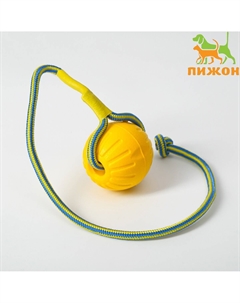 Мяч из eva на веревке для дрессировки, 7 см, желтый Пижон