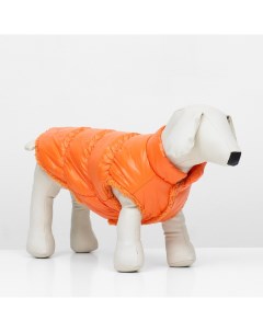 Куртка для собак Nobrand