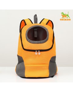 Рюкзак переноска для животных максимальный вес 16 кг 36 х 21 х 45 см оранжевый Пижон