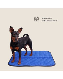 Многоразовая пеленка для собак со швейцарской антибактериальной пропиткой и мембраной 60x60 см синяя Rurri