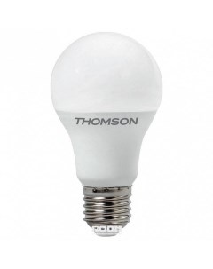 Лампа светодиодная A95 E27 30Вт 3000K TH B2354 Thomson
