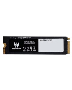 SSD накопитель GM7000 M 2 2280 1 ТБ BL 9BWWR 105 Acer