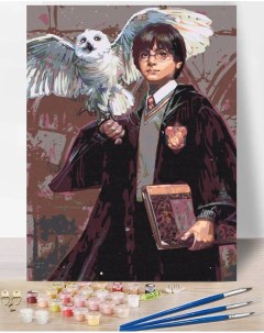 Картина по номерам Harry Potter Гарри Поттер и Сова Red panda