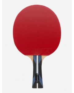 Ракетка для настольного тенниса Master Speed Красный Torneo