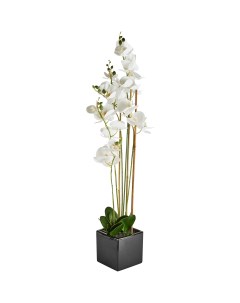 Искусственное растение Орхидея h84 см ткань белый Без бренда