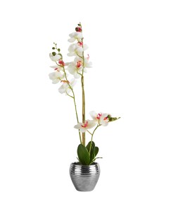 Искусственное растение Орхидеи h62 см ткань белый Без бренда