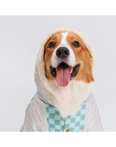 Комбинезон с капюшоном для собак 5XL бирюзовый девочка Petmax