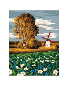 Картина по номерам на холсте Ромашковое поле 30 40 см с акриловыми красками и кистями Три совы