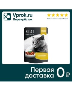 Влажный корм для кошек X CAT Курица и телятина в соусе 85г Ип михайлова м.в.