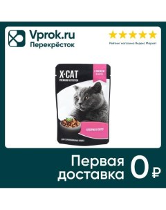 Влажный корм для стерилизованных кошек X CAT Лосось в соусе 85г Ип михайлова м.в.