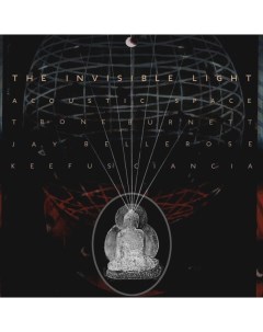T Bone Burnett Jay Bellerose Keefus Ciancia The Invisible Light Acoustic Space 2LP Universal music