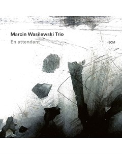 MARCIN WASILEWSKI TRIO En Attendant LP Медиа