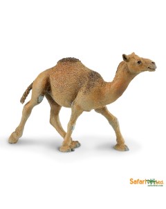 Фигурка Одногорбый верблюд Safari ltd.