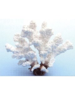 Коралл для аквариума белый 14 5х7 2х12 5 см Vitality