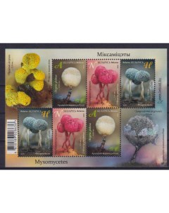 Почтовые марки Беларусь Миксомицеты Флора Грибы Почтовые марки мира