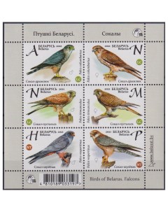 Почтовые марки Беларусь Птицы Беларуси Соколы Птицы Почтовые марки мира