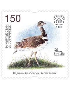 Почтовые марки Киргизия Птица года Стрепет Птицы Почтовые марки мира