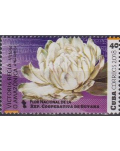 Почтовые марки Куба Виктория амазонская национальный символ Гайаны Цветы Почтовые марки мира