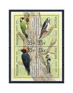 Почтовые марки Россия Фауна России Дятлы Птицы Почтовые марки мира
