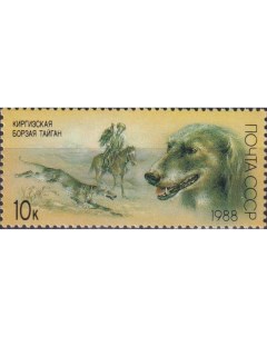 Почтовые марки СССР Киргизская борзая тайган Собаки Почтовые марки мира