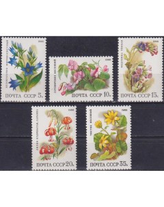 Почтовые марки СССР Лиственные лесные цветы Цветы Почтовые марки мира