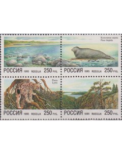 Почтовые марки Россия Природа Флора Фауна Природа Водоемы Морские котики Почтовые марки мира