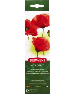 Акварель Academy 12 цв Derwent