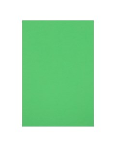 Картон цветной двусторонний а4 тонированный в массе 10 листов 180 г м2 зеленый Calligrata