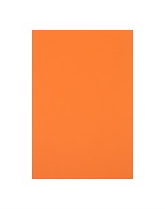 Картон цветной двусторонний а4 тонированный в массе 10 листов 180 г м2 оранжевый Calligrata